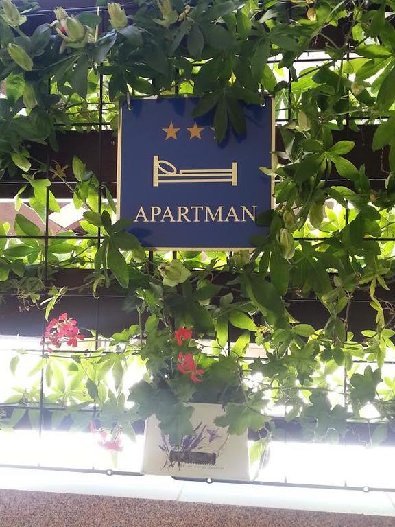 Apartment Perunika Ζαντάρ Εξωτερικό φωτογραφία